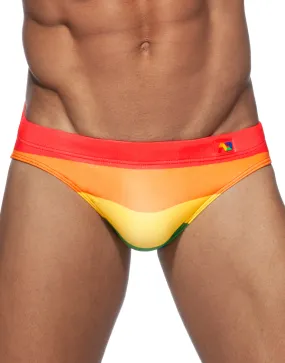 Addicted Rainbow AD Swim Bikini ADS220