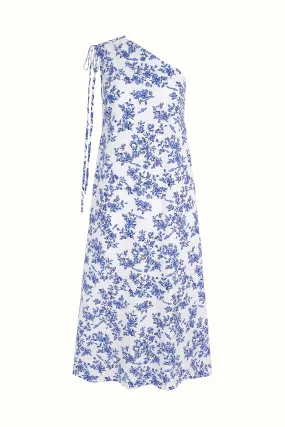 Emilia Wickstead X Passalacqua Solace Dress In Blue Rose Print Cotton